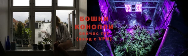 a pvp Аркадак