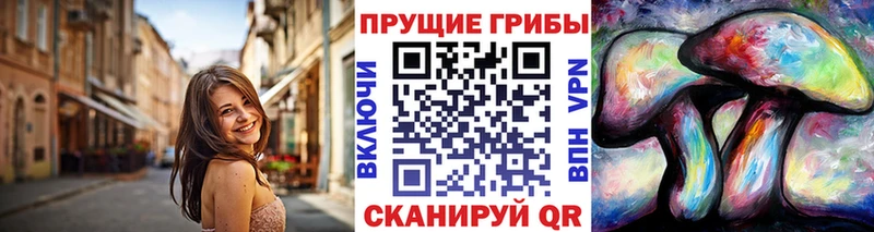 Купить  Щучье  Псилоцибиновые грибы мицелий 